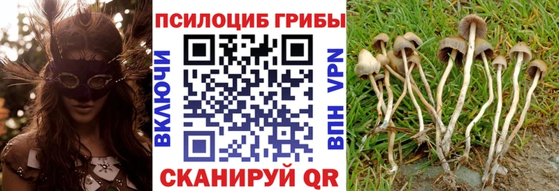 Галлюциногенные грибы мухоморы Купить где Симферополь